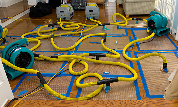 Professional Basement Flood Cleanup technician working in Venedocia, OH